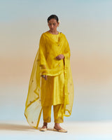 Hand Embroidered Dupatta