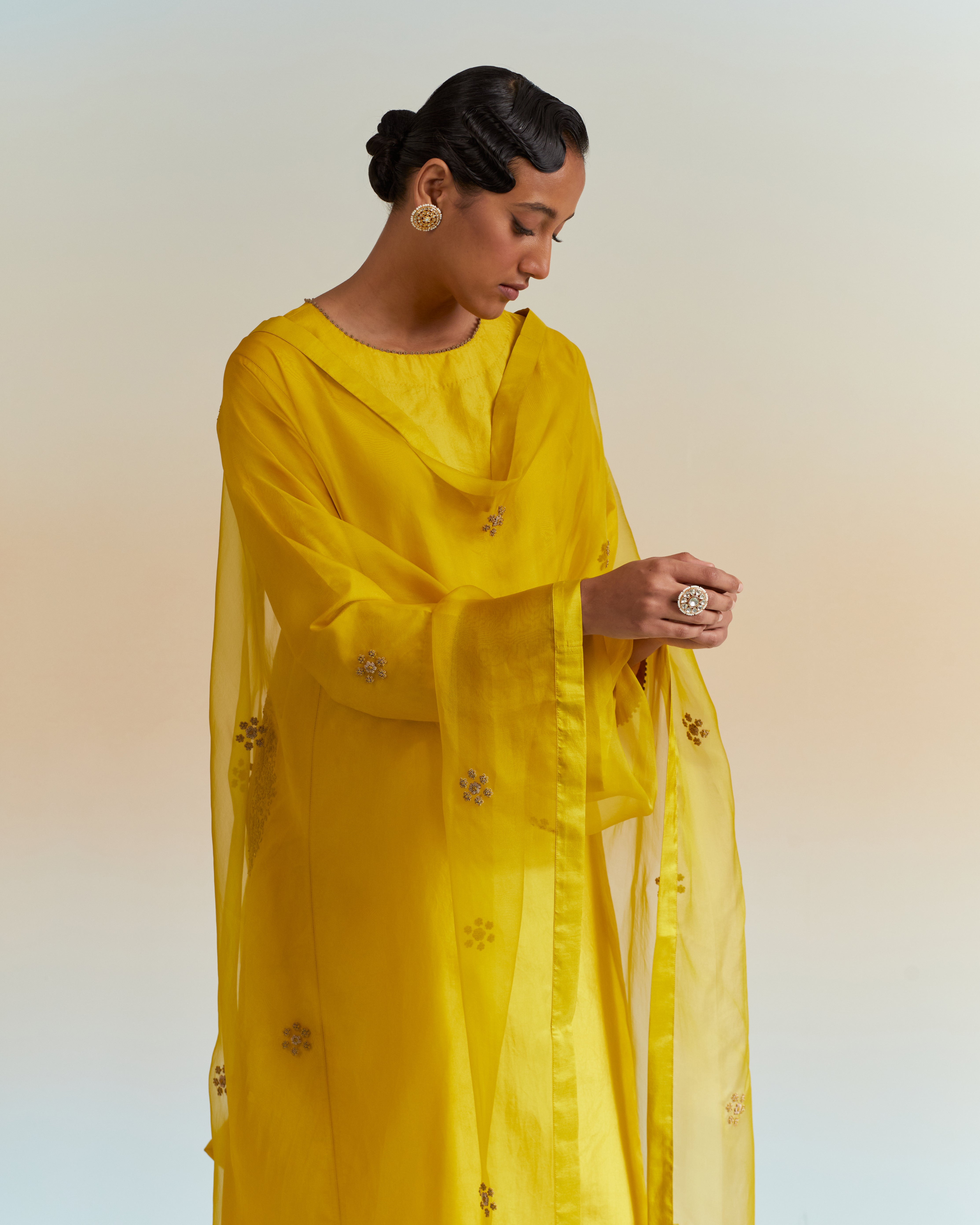 Ecru Brasso Printed Dupatta