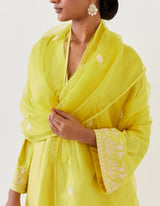 HAND EMBROIDERED DUPATTA- LIME GREEN