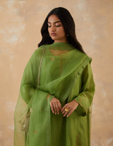 HAND EMBROIDERED DUPATTA- MATCHA