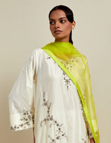 HAND EMBROIDERED DUPATTA- LIME