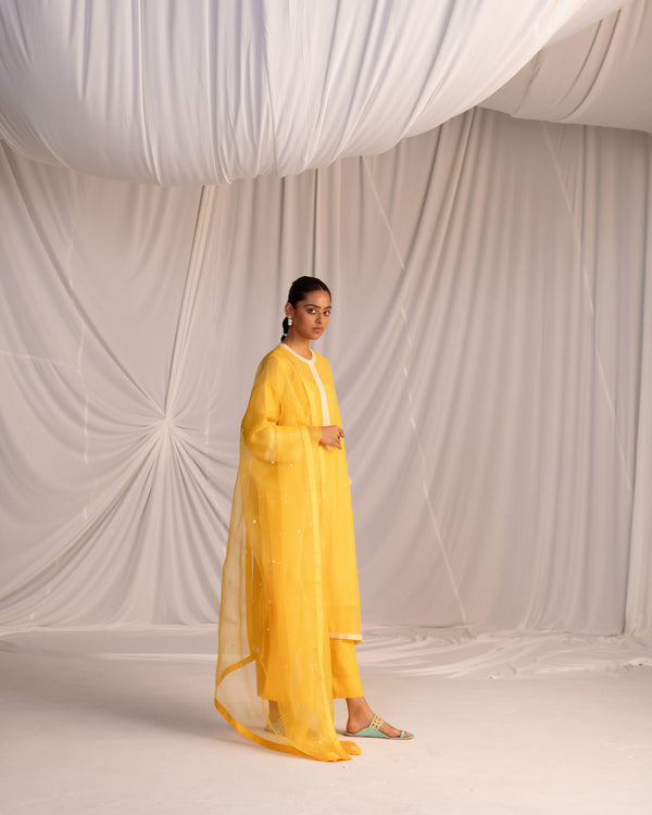 HAND EMBROIDERED DUPATTA- MANGO YELLOW